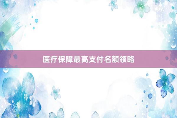 医疗保障最高支付名额领略
