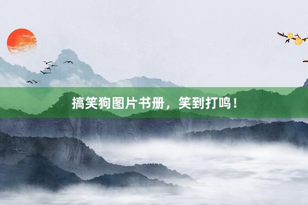 搞笑狗图片书册，笑到打鸣！