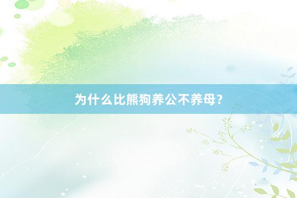 为什么比熊狗养公不养母？